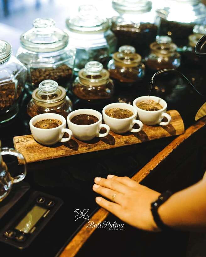 Ubud: Private Half-Day Tour with Rice Terrace & Waterfall - Bali Pulina coffee plantation: tasting Luwak without the pressure