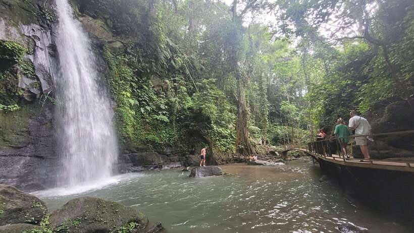 Ubud: Private Half-Day Tour with Rice Terrace & Waterfall - Transportation and private pacing: why the pickup matters