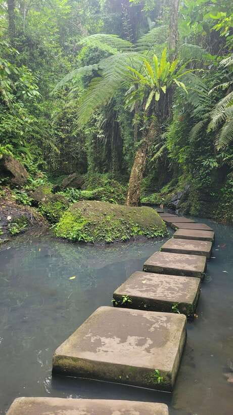 Ubud: Private Half-Day Tour with Rice Terrace & Waterfall - Who should book this Ubud half-day tour