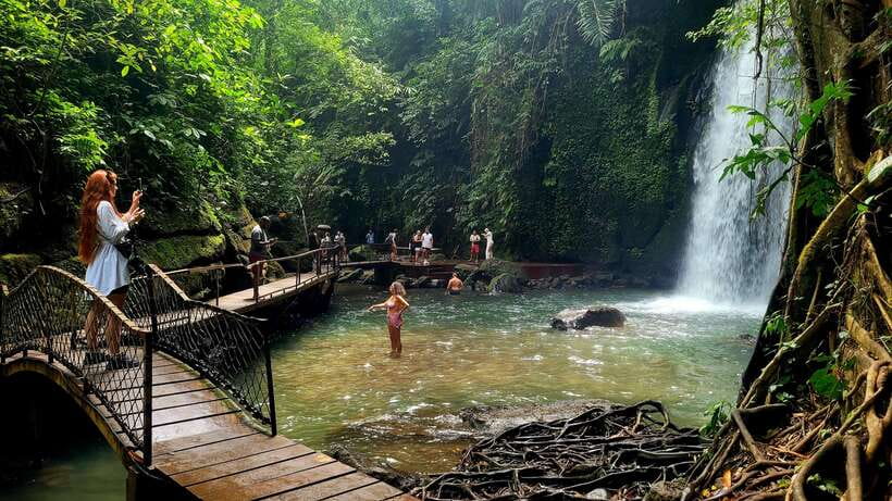 Ubud: Private Half-Day Tour with Rice Terrace & Waterfall - Rice terrace walk at Abian Desa: photos and adrenaline options