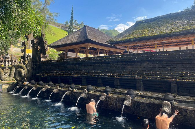 Ubud Private Nature and Temple Tour - Stop 2: Tegalalang Rice Terraces and the Subak Water System