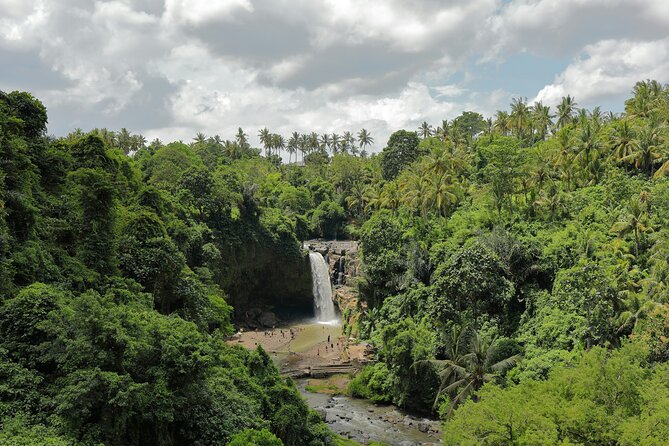 Ubud Private Nature and Temple Tour - Stop 3: Pemulan Bali Coffee Plantation for Coffee, Spices, and a Sense of Place