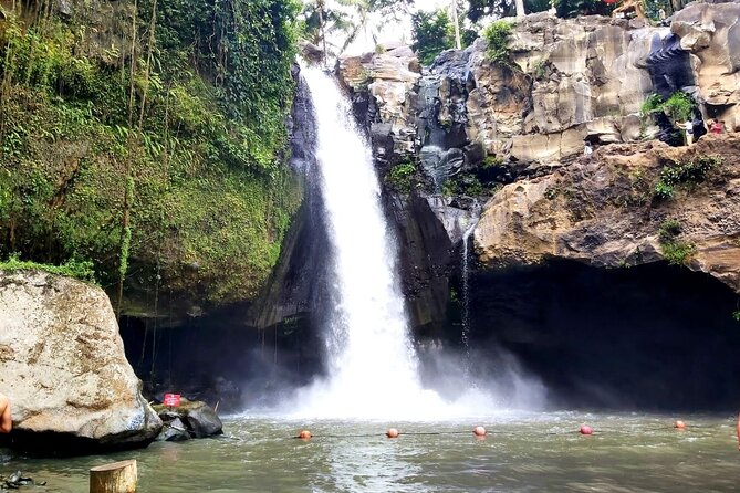 Ubud Private Tour : Best Of Ubud - Guided Tour - Sacred Monkey Forest Sanctuary: Spiritual Place, Not Just a Zoo
