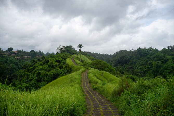 Ubud Private Tour: Monkey Forest - Tirta Empul Temple - Stop 4: Elephant Cave (Goa Gajah) in rice paddies and a garden