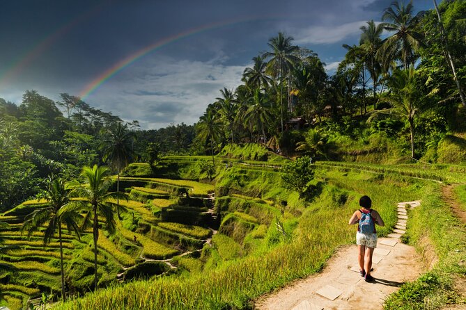 Ubud Private Tour: Monkey Forest - Tirta Empul Temple - Stop 5: Tegenungan Waterfall and the 20-meter cascade