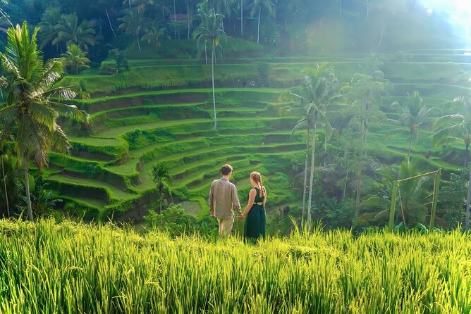 UBUD Private Tour – Rice Terrace, Jungle Swing & Hidden Waterfall - Getting around in a clean A/C car with a driver-guide you can trust