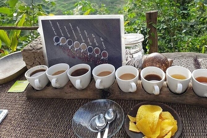 UBUD Private Tour – Rice Terrace, Jungle Swing & Hidden Waterfall - Food, timing, and surviving 8 to 10 hours without going cranky