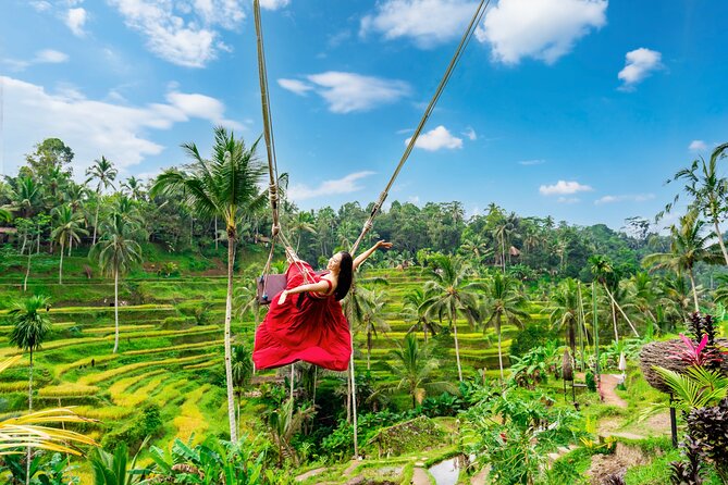 Ubud Private Tour: Waterfalls, Temple and Rice Terraces Swing - Quick highlights before you go