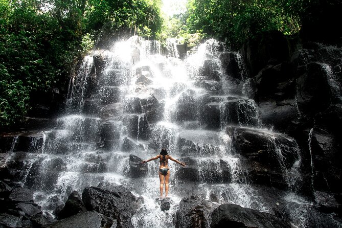 Ubud Private Tour: Waterfalls, Temple and Rice Terraces Swing - Lunch at D Alas Warung: rice-field views you can actually enjoy