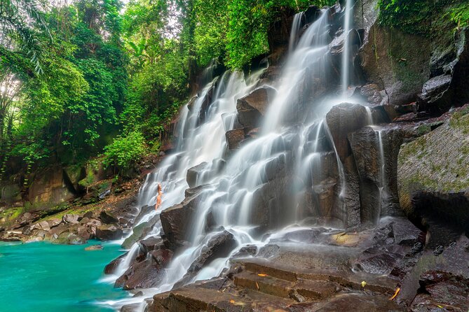 Ubud Private Tour: Waterfalls, Temple and Rice Terraces Swing - Pemulan Bali Coffee Plantation: tea and coffee, with a real-world explanation