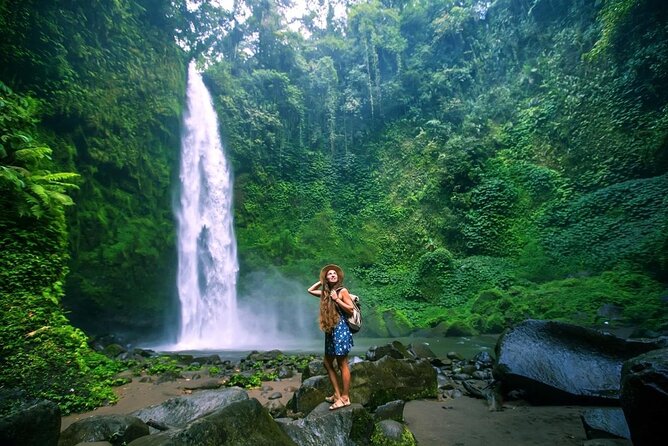 Ubud Private Tour: Waterfalls, Temple and Rice Terraces Swing - Price and what $24.82 really means for your day