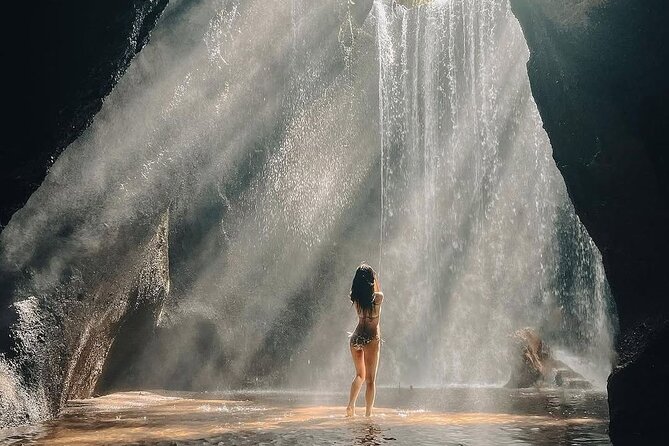 Ubud Private Tour - Waterfalls, Water Temple & Rice Terraces - Key Highlights You’ll Care About