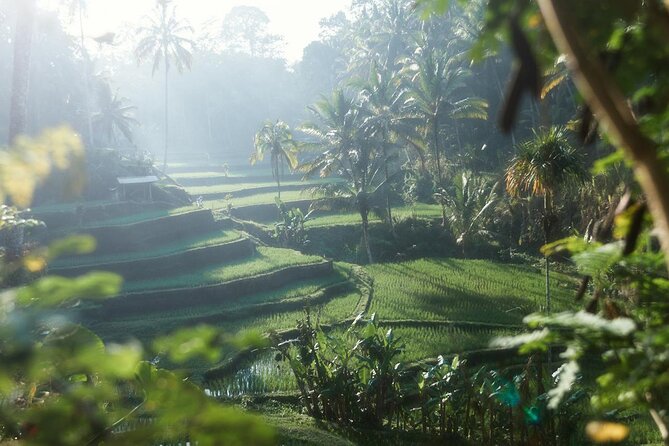 Ubud Private Tour - Waterfalls, Water Temple & Rice Terraces - Tukad Cepung Waterfall: Cave Rays That Feel Unreal