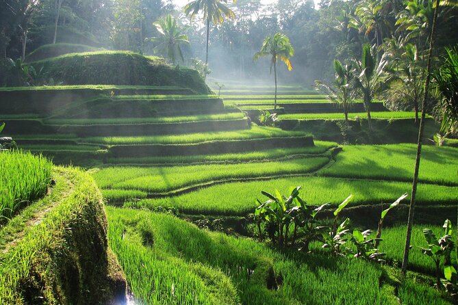 Ubud Private Tour - Waterfalls, Water Temple & Rice Terraces - Sari Timbul by Kubu Bali Lunch Stop: Fuel Without Losing the Flow