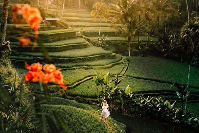 Ubud Private Tour - Waterfalls, Water Temple & Rice Terraces - Tirta Empul Temple Purification: Ritual Water Spouts and Sarong Guidance