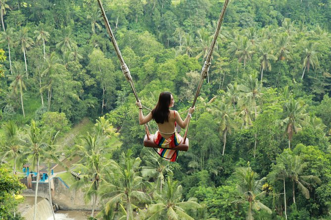 Ubud Private Tours with Jungle Swing Experience - all inclusive - Key highlights to look forward to