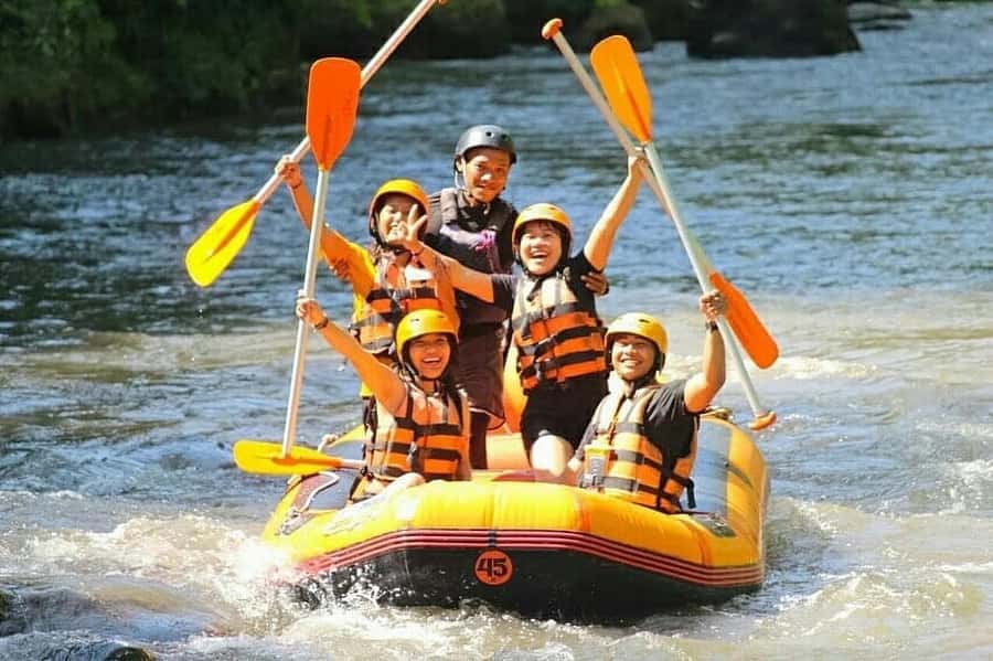 Ubud: Rice Teracces,Gorila Face ATV & Rafting - Key Things I’d Pick Up for This Ubud Combo