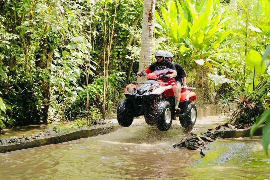 Ubud: Rice Teracces,Gorila Face ATV & Rafting - Rice Terraces: The Scenic Reset Between Adrenaline