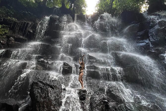 Ubud : Rice Terrace, water Temple and Waterfalls Private tour - Quick highlights you’ll feel right away