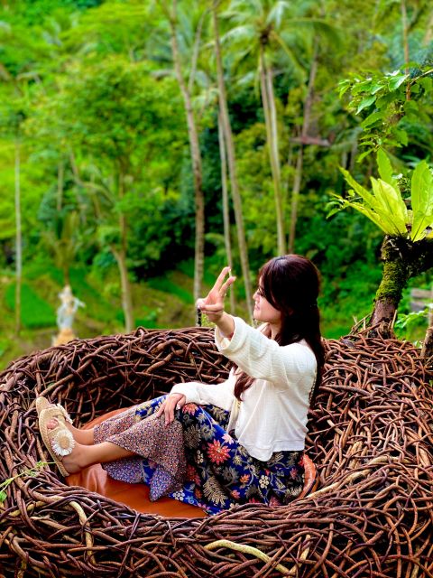 Ubud rice terrace, waterfall, and temple guided trip Bali - Tegallalang Rice Terrace and the Swing Photo Moment