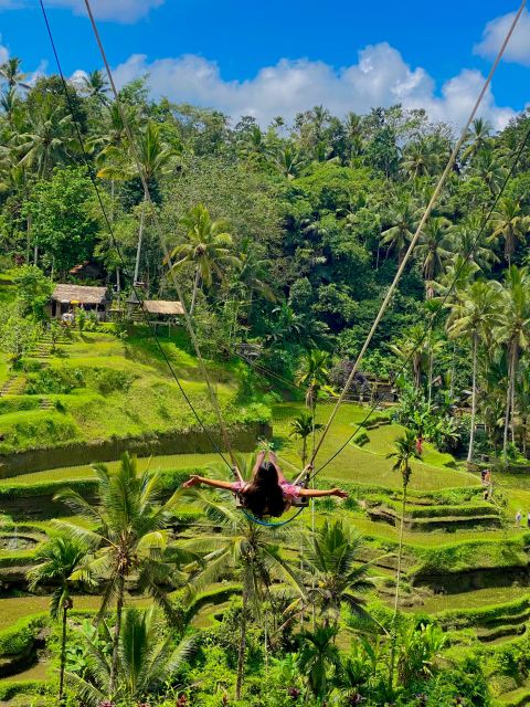 Ubud rice terrace, waterfall, and temple guided trip Bali - Price and Logistics: Pickup, Entry Fees, and What to Bring