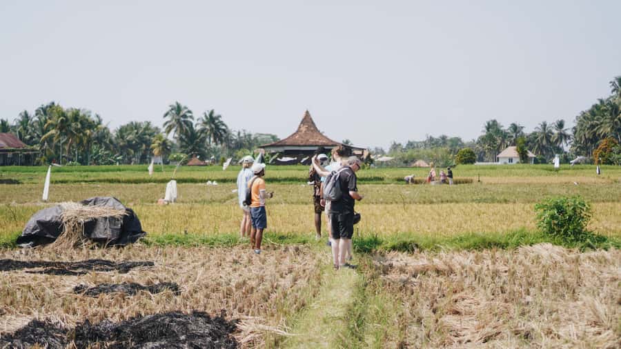 Ubud: Rice Terraces & Villages Half-Day Fat Tire E-Bike Tour - Key Points You Should Know Before You Go