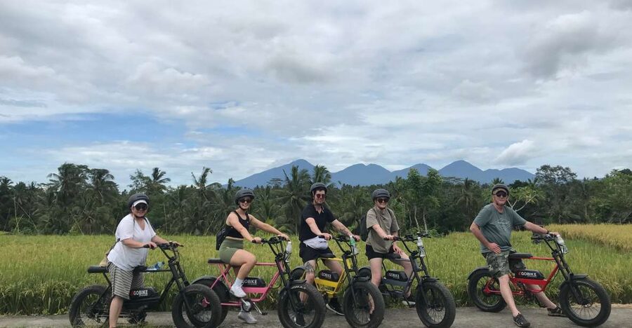 Ubud: Rice Terraces & Villages Half-Day Fat Tire E-Bike Tour - Safety, Pace, and Group Size (The Stuff That Actually Changes Your Experience)