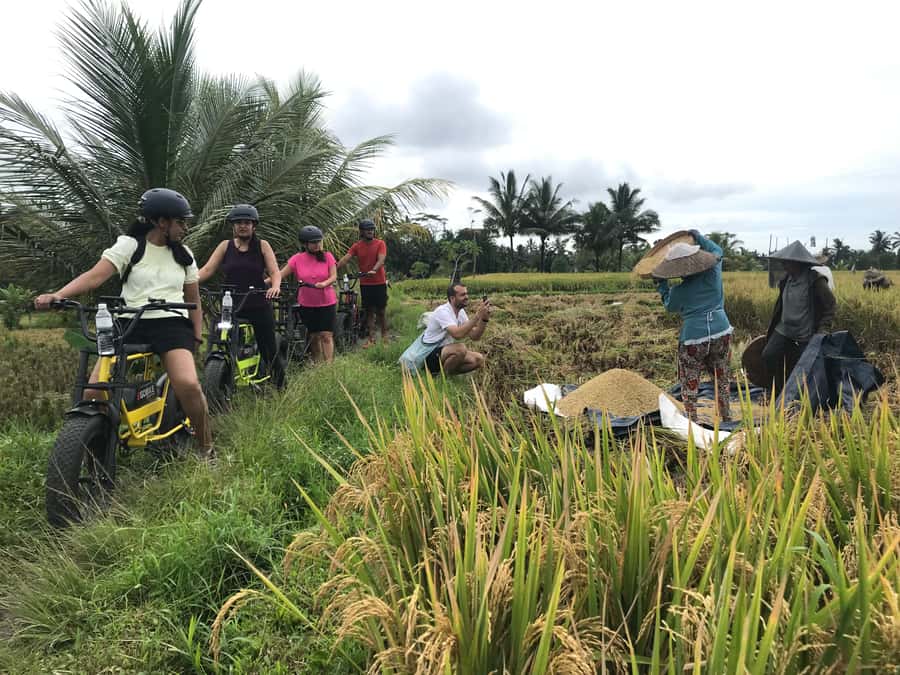 Ubud: Rice Terraces & Villages Half-Day Fat Tire E-Bike Tour - Pickup, Transfer, and That First Guided Window in Ubud