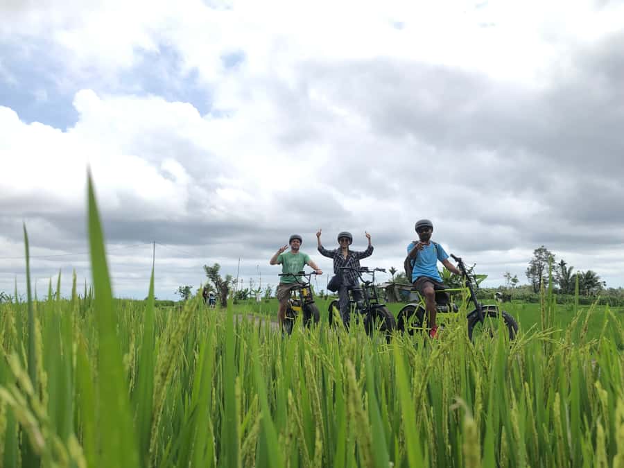Ubud: Rice Terraces & Villages Half-Day Fat Tire E-Bike Tour - Cekingan Rice Terrace and the Subak Irrigation System