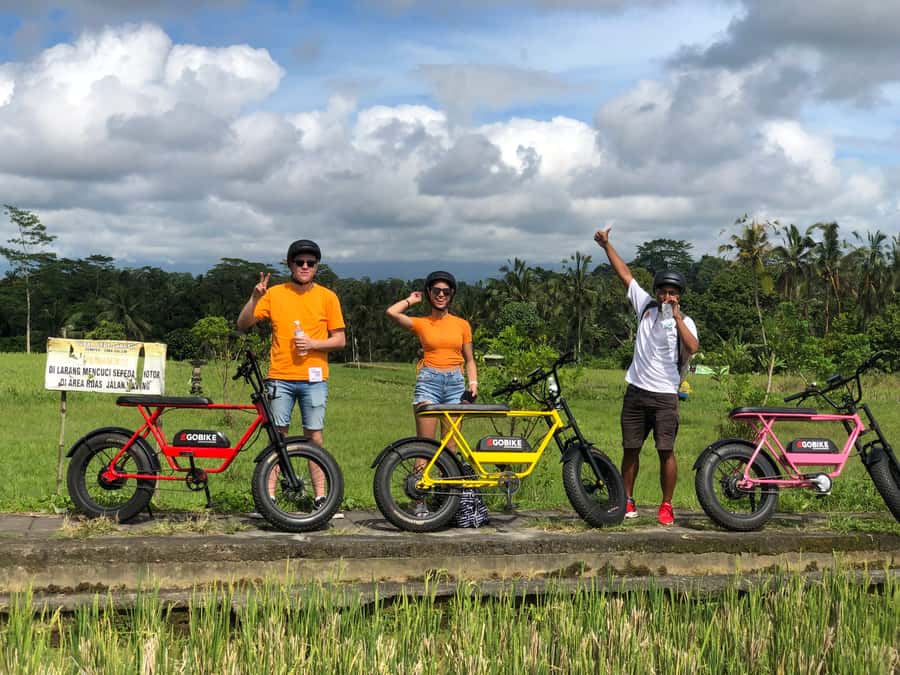 Ubud: Rice Terraces & Villages Half-Day Fat Tire E-Bike Tour - Temple Stops Along the Way: Culture in Motion