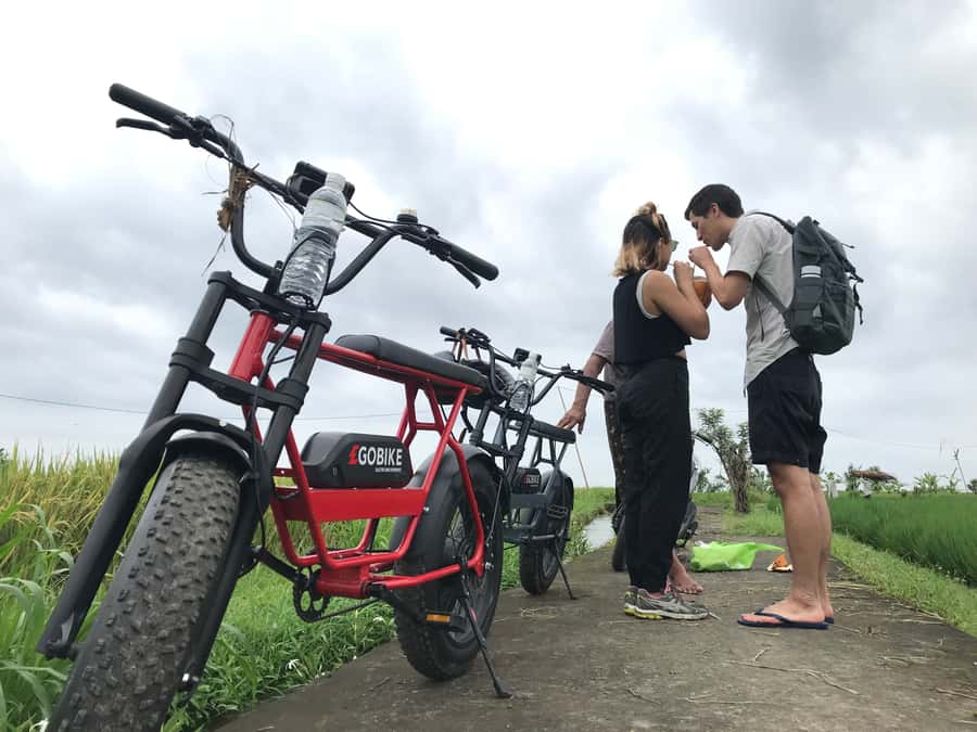 Ubud: Rice Terraces & Villages Half-Day Fat Tire E-Bike Tour - “Street of Love” and the Feeling of Being Away From Traffic
