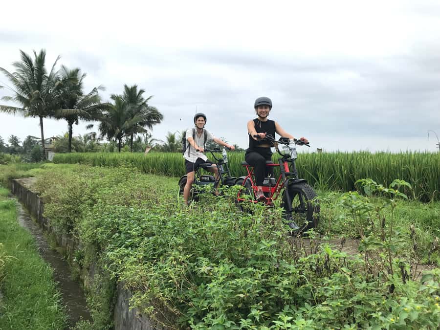 Ubud: Rice Terraces & Villages Half-Day Fat Tire E-Bike Tour - Lunch in Ubud: Why the Meal Matters Here