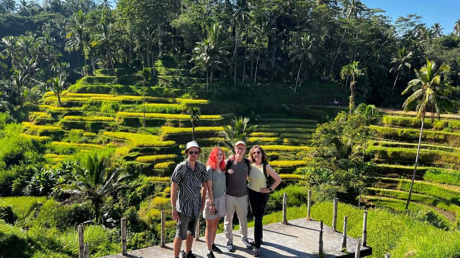 Ubud: Rice Terraces, Water Temple, & Waterfalls Private Tour - Who this private tour is perfect for (and who should skip it)