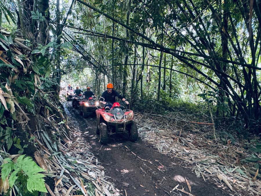 Ubud: River Cave Tubing Adventure & Gorilla ATV Quad Bike - Who this ATV and tubing day is best for