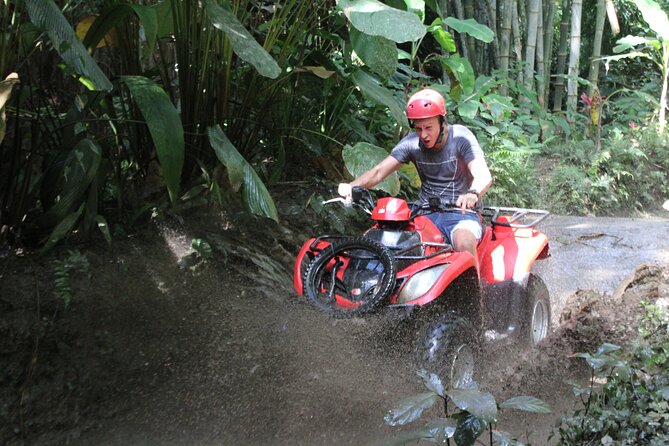 Ubud's Quad Bike - ATV Single Ride - Price and Value: Is $48 Worth It?
