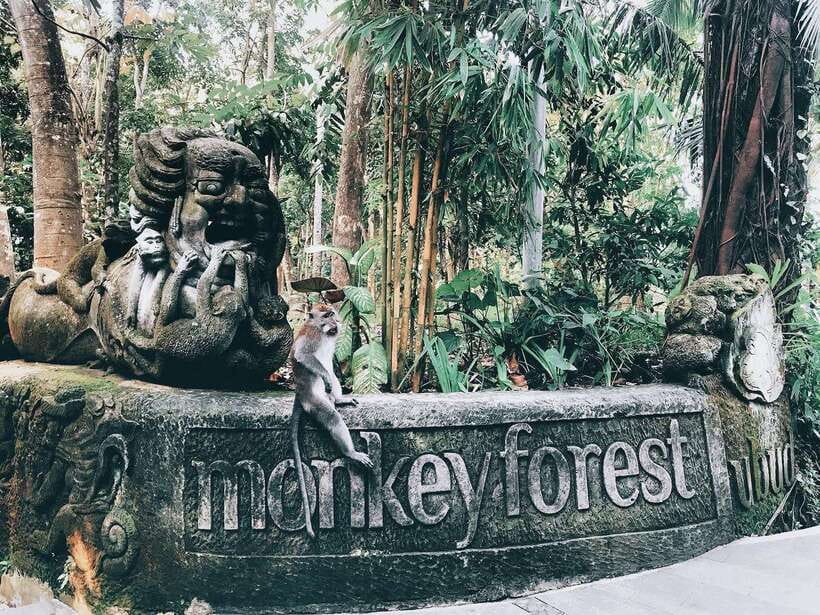 Ubud: Sacred Monkey Forest, Barong Cave ATV & Waterfall Tour - Tegenungan Waterfall: greenery, swim time, and photo strategy