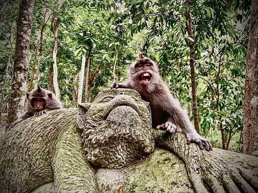 Ubud: Sacred Monkey Forest & Barong Cave ATV with Meal - First Stop: Pickup and the Sacred Monkey Forest Sanctuary Visit