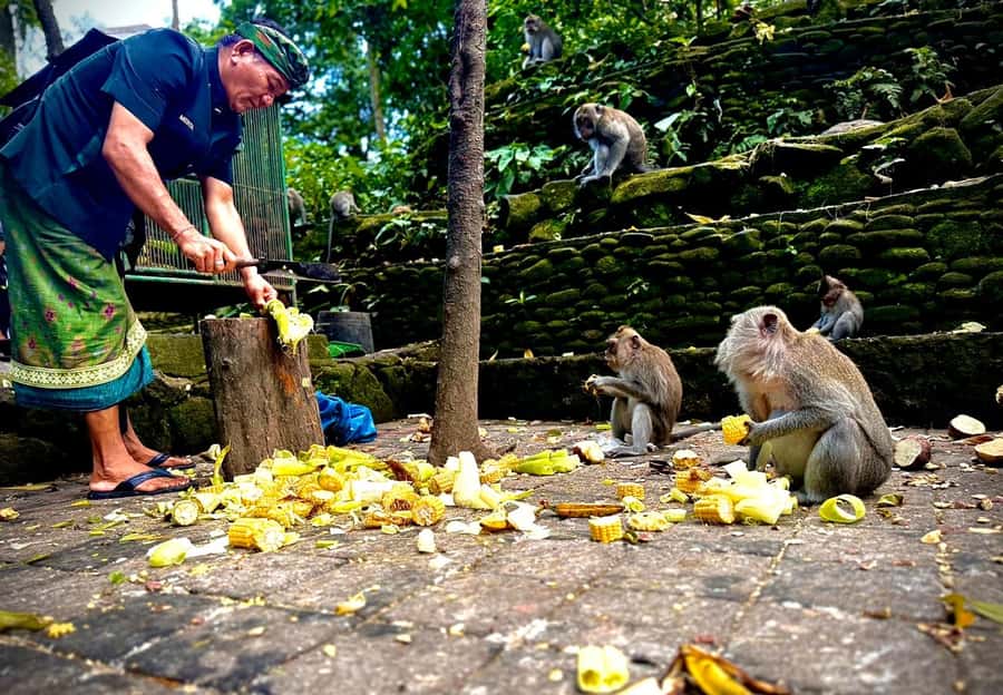 Ubud: Sacred Monkey Forest Sanctuary Ticket and Guided Tour - Add-ons that change the whole day: lunch, luwak coffee, swing, zipline, massage, Polaroids