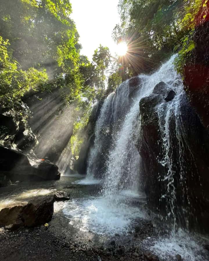Ubud: Secret Waterfalls and Jungle Swing Private Tour - Lunch at Ubud Warong: A Real Break Before the Swing