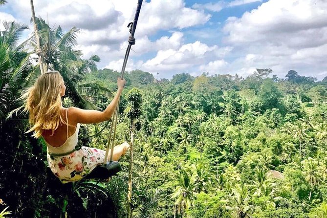 Ubud Sightseeing, Holy Water Temple & Waterfall - Why this Ubud day works: a private route you can actually use