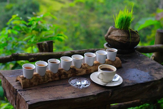 Ubud Sightseeing, Holy Water Temple & Waterfall - Tirta Empul Temple in Tampak Siring: ritual cleansing with real meaning