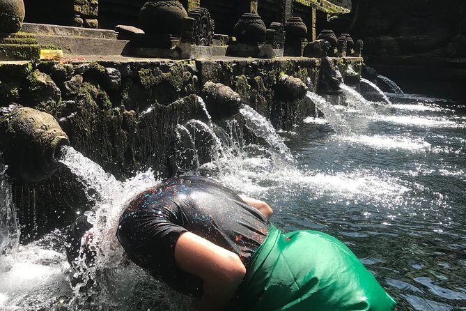Ubud Sightseeing, Holy Water Temple & Waterfall - Tegalalang Rice Terrace: views that reward a slow look