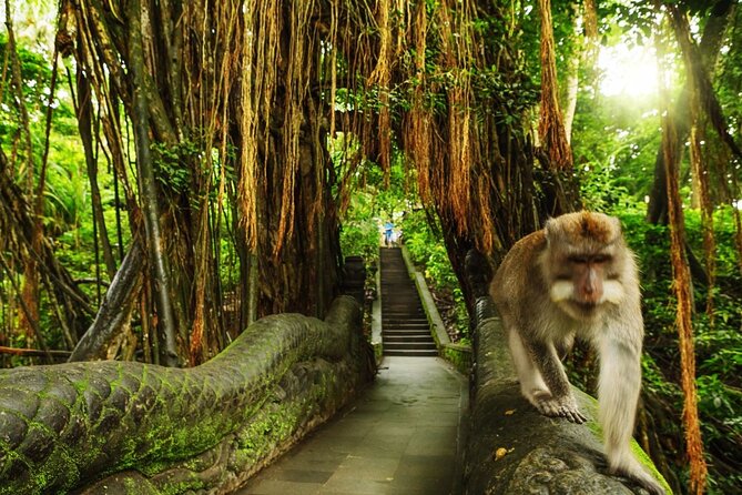 Ubud Skip the line Monkey Forest Sanctuary Ticket and Guided Tour - Sacred Monkey Forest: what you see before you reach the temples