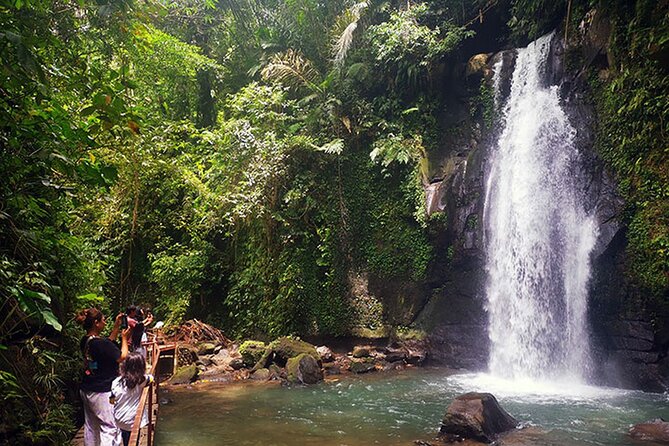 UBUD Spring Temple, Waterfall, Rice Terraces Private Tour - Why a Ubud Private Car Really Changes the Day