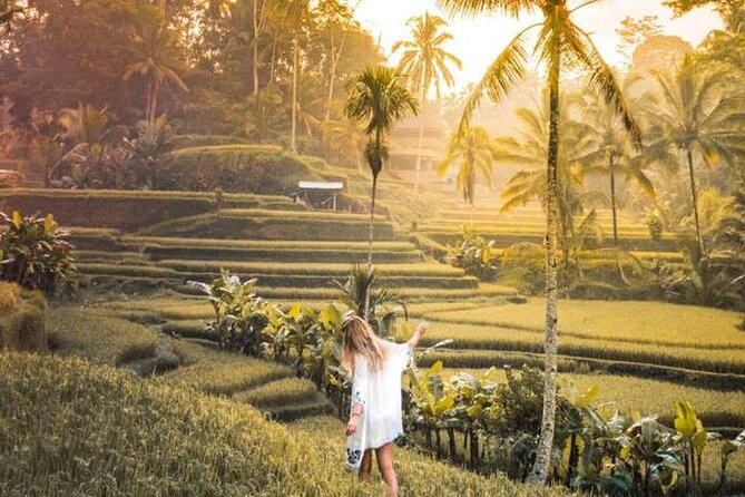 UBUD Spring Temple, Waterfall, Rice Terraces Private Tour - Wrapping the Day Around Ubud: Flex Start, Realistic Timing