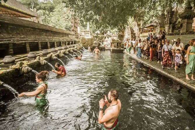UBUD Spring Temple, Waterfall, Rice Terraces Private Tour - Price and Value: What $129.99 Buys You in Bali