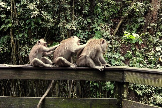 Ubud Surounding Tour - Kanto Lampo Waterfall: Time to Soak and Pose