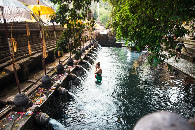 Ubud Surounding Tour - Sacred Monkey Forest Sanctuary: More Than a Quick Photo Stop