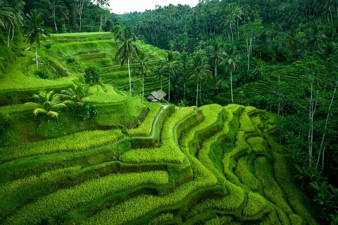 UBUD : Temple and Waterfall All Inclusive Day Tour - Why this Ubud day tour feels well paced