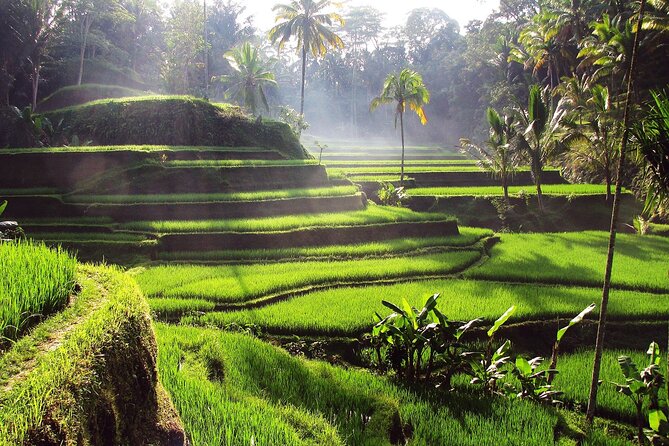 UBUD : Temple and Waterfall All Inclusive Day Tour - Stop 1: Tegenungan Waterfall and the 15-meter photo moment